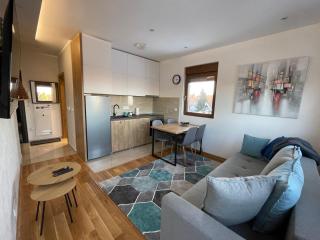 Apartman R1 - Zlatibor - Zlatibor - 0