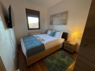 Apartman R1 - Zlatibor - Zlatibor - 9