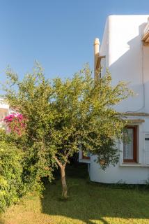 Villa Muse - Pitsidia - 4