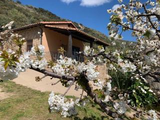 Casa Rural Canchal Madroñeras *** - El Torno - 9