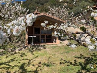 Casa Rural Canchal Madroñeras *** - El Torno - 8