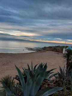 Alquilo apartamento junto al mar en Torrevieja Cabo Cervera (Alicante) - Torrevieja - 6