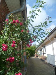 Landgasthof Nüchel - 6
