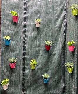 Nemeapolis 2 apt - 1