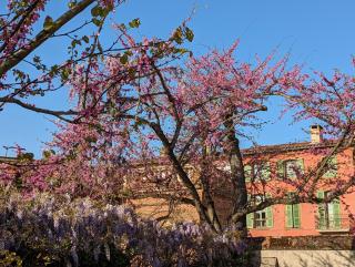 Moustier - Montauban - 3