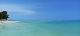 Room beach-front with private bathroom -Adults only - Punta Cana - 1