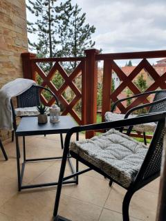 Apartman Sanjalica - Zlatibor - 7