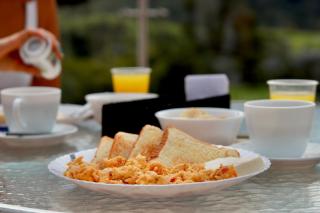 Hotel Boutique Palmas de Salento - 1