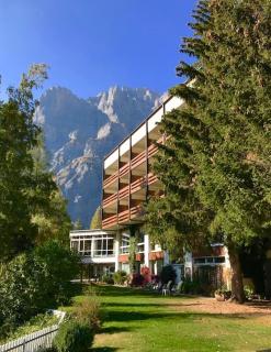 Hotel Regina Terme - Leukerbad - 0