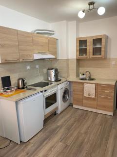 Brand New Cozy 1BR flat with AC & FREE street Parking - 6