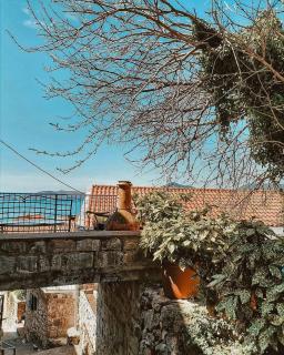 OLD HOUSE M - Sveti Stefan - 1