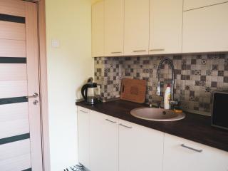 Modern Room With A Great Sunrise - close to the center - - Timişoara - 3