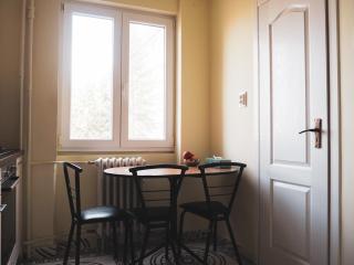 Modern Room With A Great Sunrise - close to the center - - Timişoara - 1