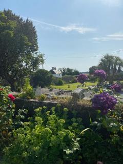 Clonmore Lodge B&B - 8