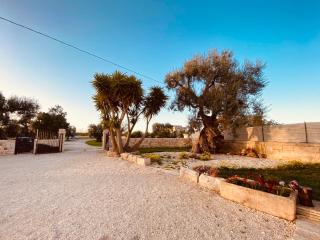 Guardian's House - Monopoli - 7