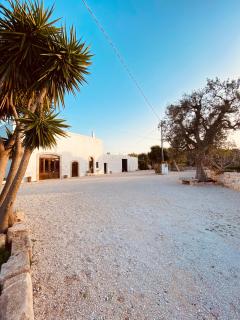 Guardian's House - Monopoli - 9