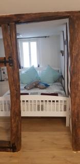 Zauberhafte Wohnung in der Nähe von Heidelberg, top Lage - Hirschhorn - 9
