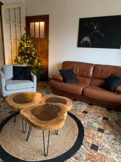 Gezellige villa met open haard en zonnige tuin. - Doische - 5