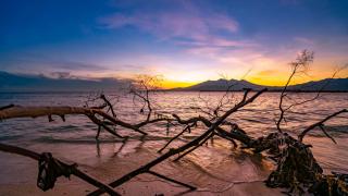 Pravasa Gili Resort by KajaNe - Gili Meno - 1