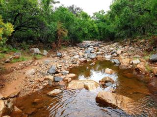 66 Sharalumbi Wildlife Estate - 9