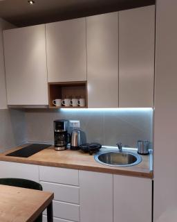 Vidik apartman Titova vila Zlatibor - 9