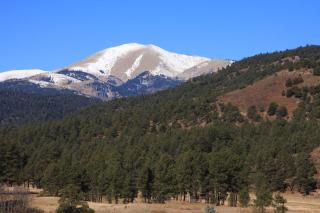 In the Pines - 8