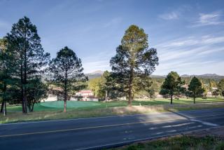 In the Pines - Ruidoso - 2