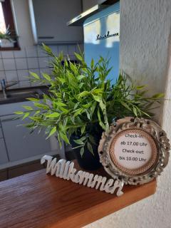 Schöne EinZimmer Wohnung Zwischen Bodensee und Allgäu - Neukirch - 8
