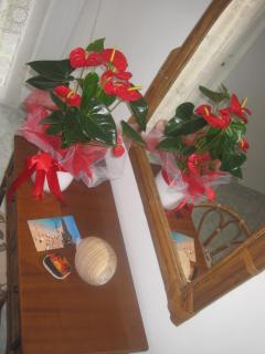 Marina Studios I - Argostoli - 6