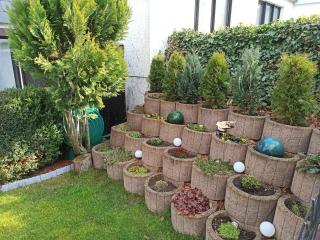 Ferienwohnung Löwenzahn - 3