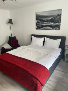Maple Lodge - Braşov - 9