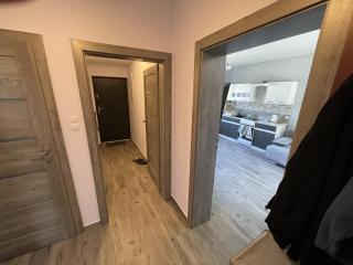 Dom na skraju lasu - 9