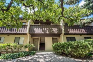 Large and full of light apartment next to Google, Apple, Stanford in the heart of Silicon Valley - 0