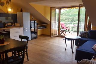Casa Barzen - Stilvoll Urlauben an der Mosel - Reil - 3