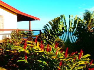 Korovesi Sunshine Villas - Savusavu - 5