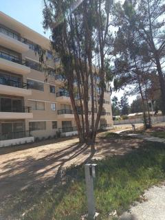 Hermoso Dpto entre bosque y piscina. - El Tabo - 7