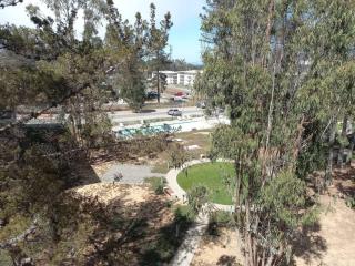Hermoso Dpto entre bosque y piscina. - 6