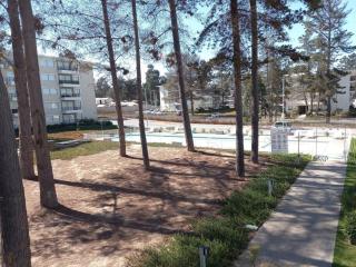 Hermoso Dpto entre bosque y piscina. - 1