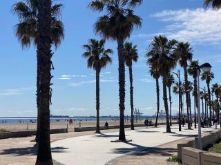 Avenida Mare Nostrum 7 Patacona Beach Breakfast items in the home - Valencia - 2