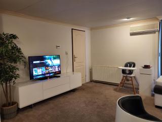 Deluxe Holiday Home - Putten - 3