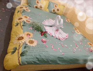 HomeStay Phố Không Nắng - Da Lat - 3
