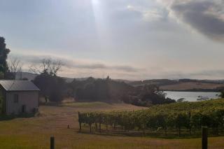NEST- Luxury Vineyard Accommodation - Rowella - 4