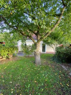 Ferienhaus Spreewald - Luckau - 1