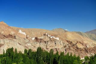 Mingoeks Home Stay - Leh - 0