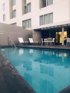 Royal Delonix - 8
