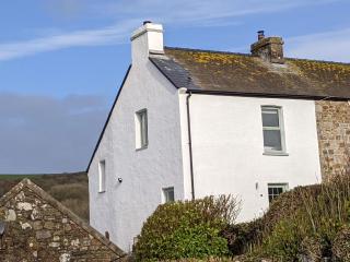 Millmoor Cottage - Broad Haven - Broad Haven - 9