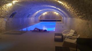 GITE LOFT DE 15 PERSONNES AU CHATEAU DE JALLANGES VOUVRAY - Vernou-sur-Brenne - 4