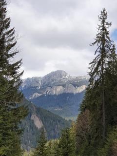 Apart Hotel Center - Piatra Neamţ - 4