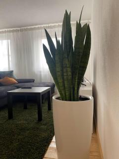 Wick Home Apartment 2 Lahr-Burgheim - 2