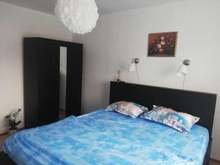 Apartament Dodo - Cluj-Napoca - 2